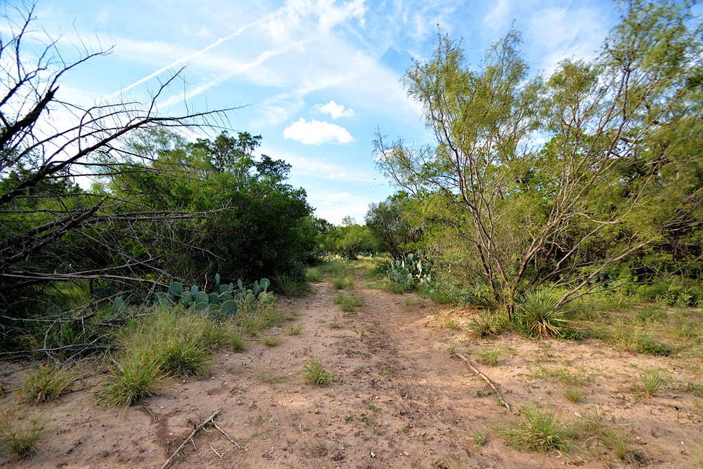 22874 Ranch Rd 385, Harper, TX 78631 — photo 3