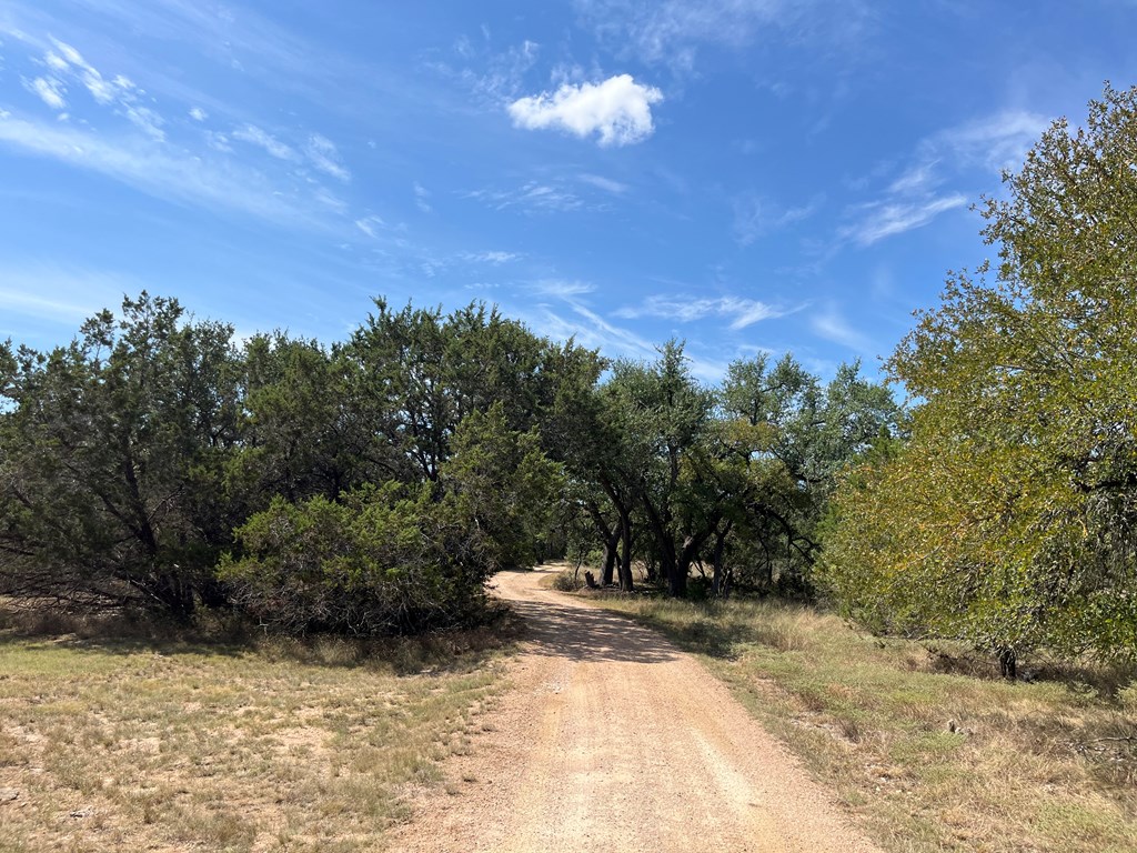 412 Field Road, Fischer, TX 78623 — photo 3
