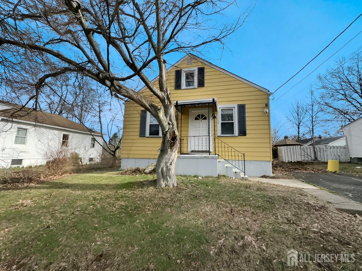 20 Mabel Street — photo