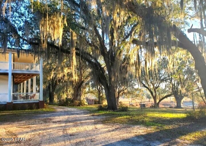4686 Dunaway Road, Bascom, FL 32423 — photo 2