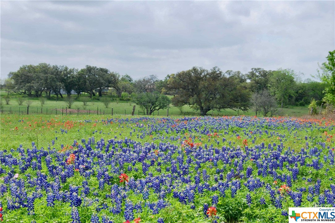 Tbd US Hwy 90a — photo