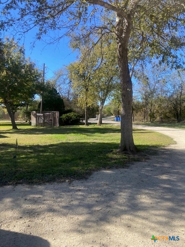 00 Buffalo Gap — photo