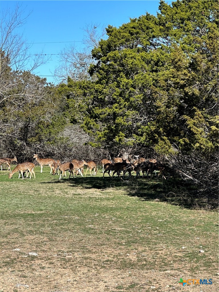 0 Deerwood Circle — photo