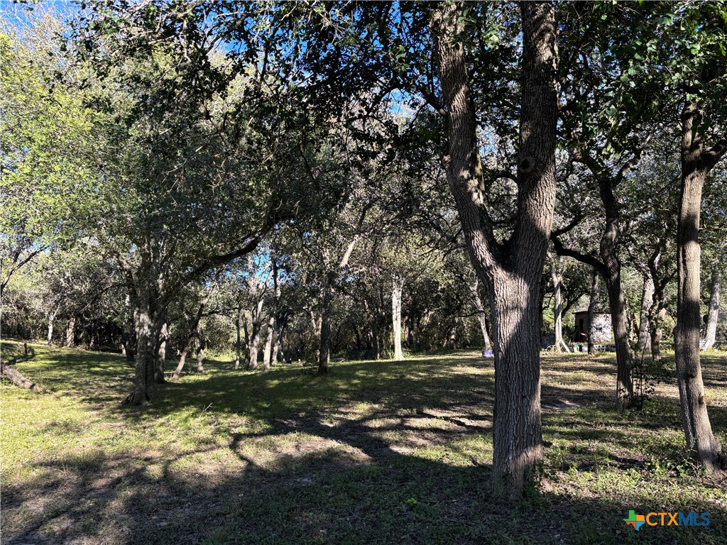 2168 River Oaks — photo