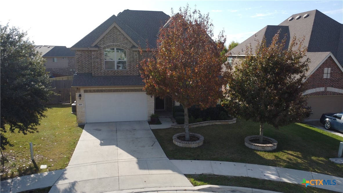 809 Alpino — photo