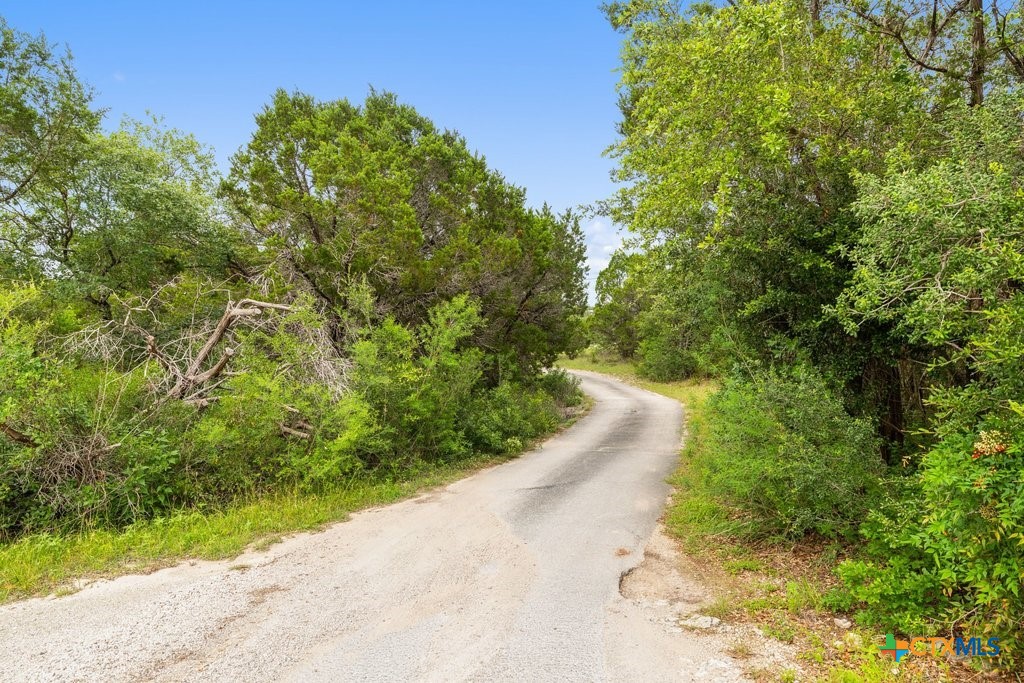 11551 Ranch Rd 12, Wimberley, TX 78676 — photo 3