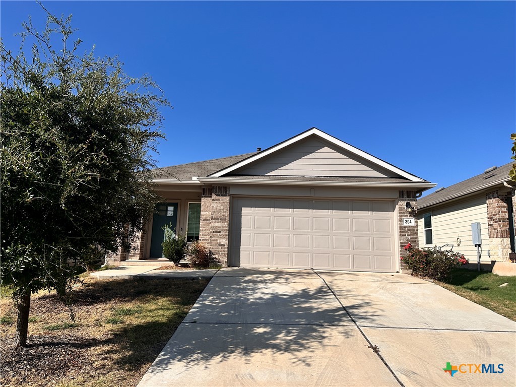 304 Fall Aster Drive, Kyle, TX 78640 — photo 2