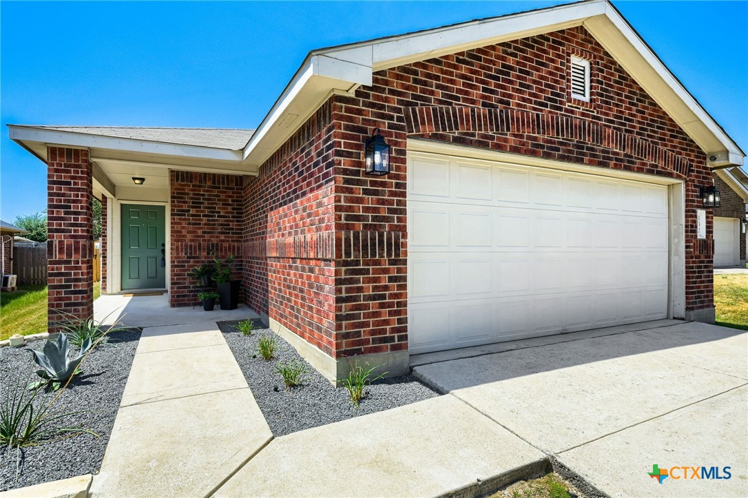 137 Pine Arbol — photo