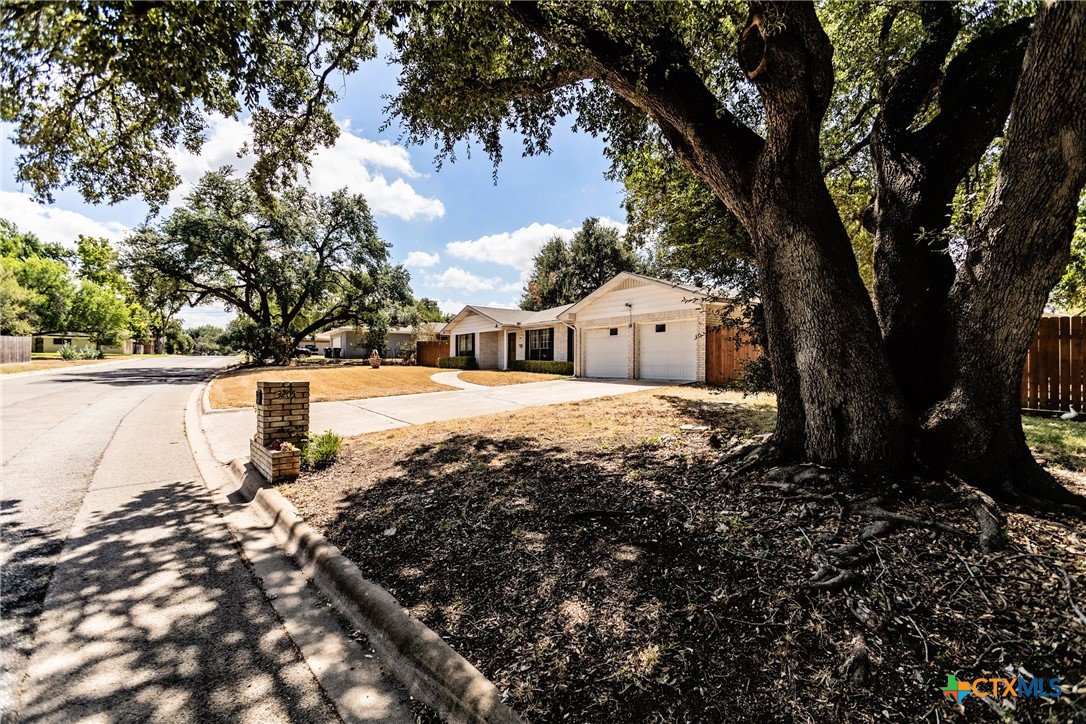 3205 Pin Oak Drive — photo