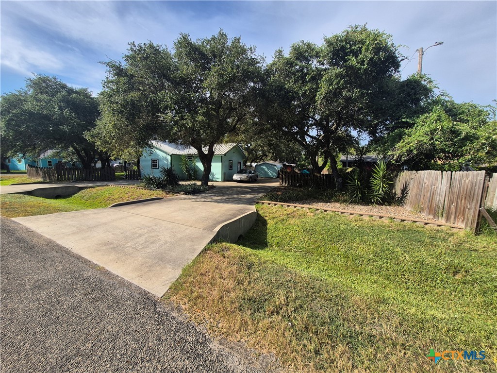 924 Ibis — photo