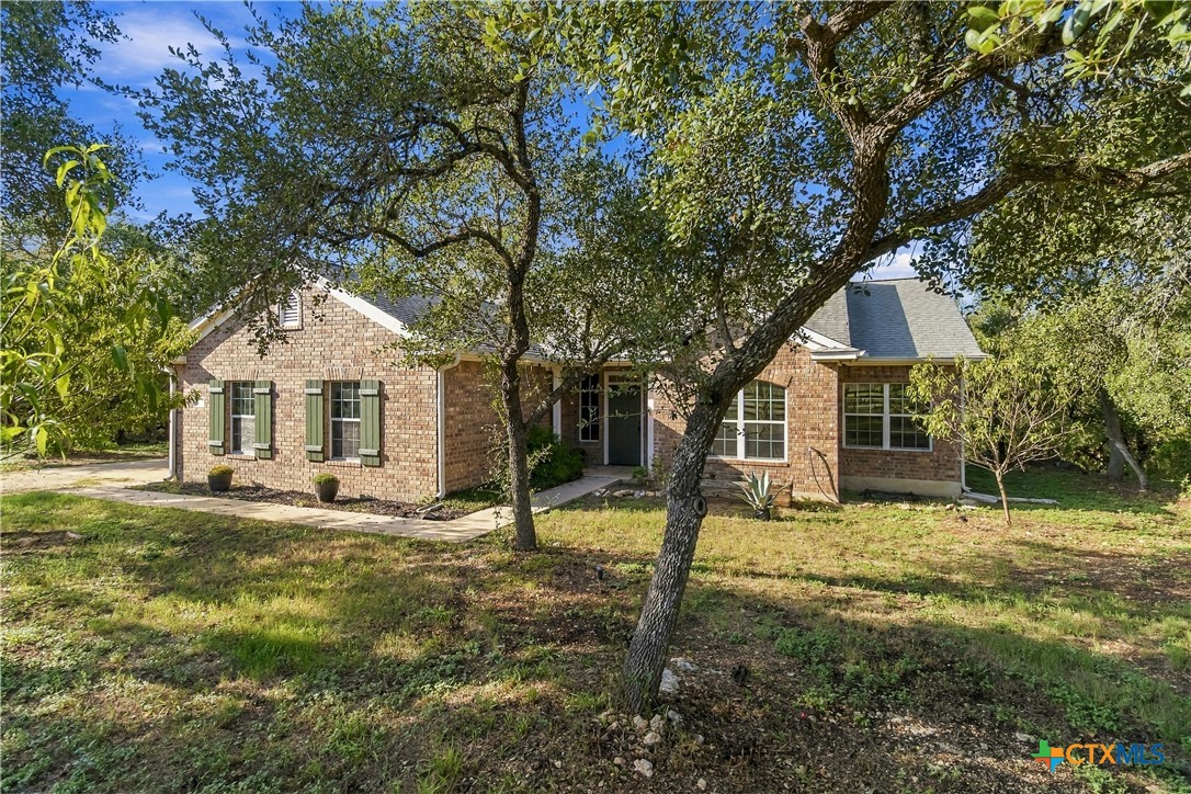 205 Homestead Road, Kyle, TX 78640 — photo 3