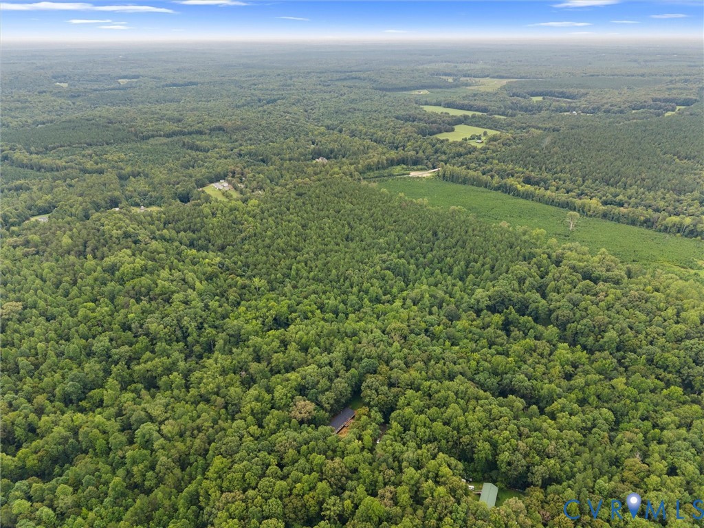 1909 Neves Road, Beaverdam, VA 23015 — photo 3