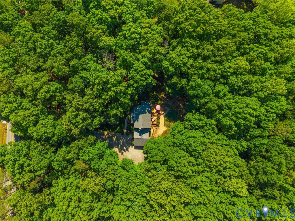 3100 Three Bridge Road, Powhatan, VA 23139 — photo 2