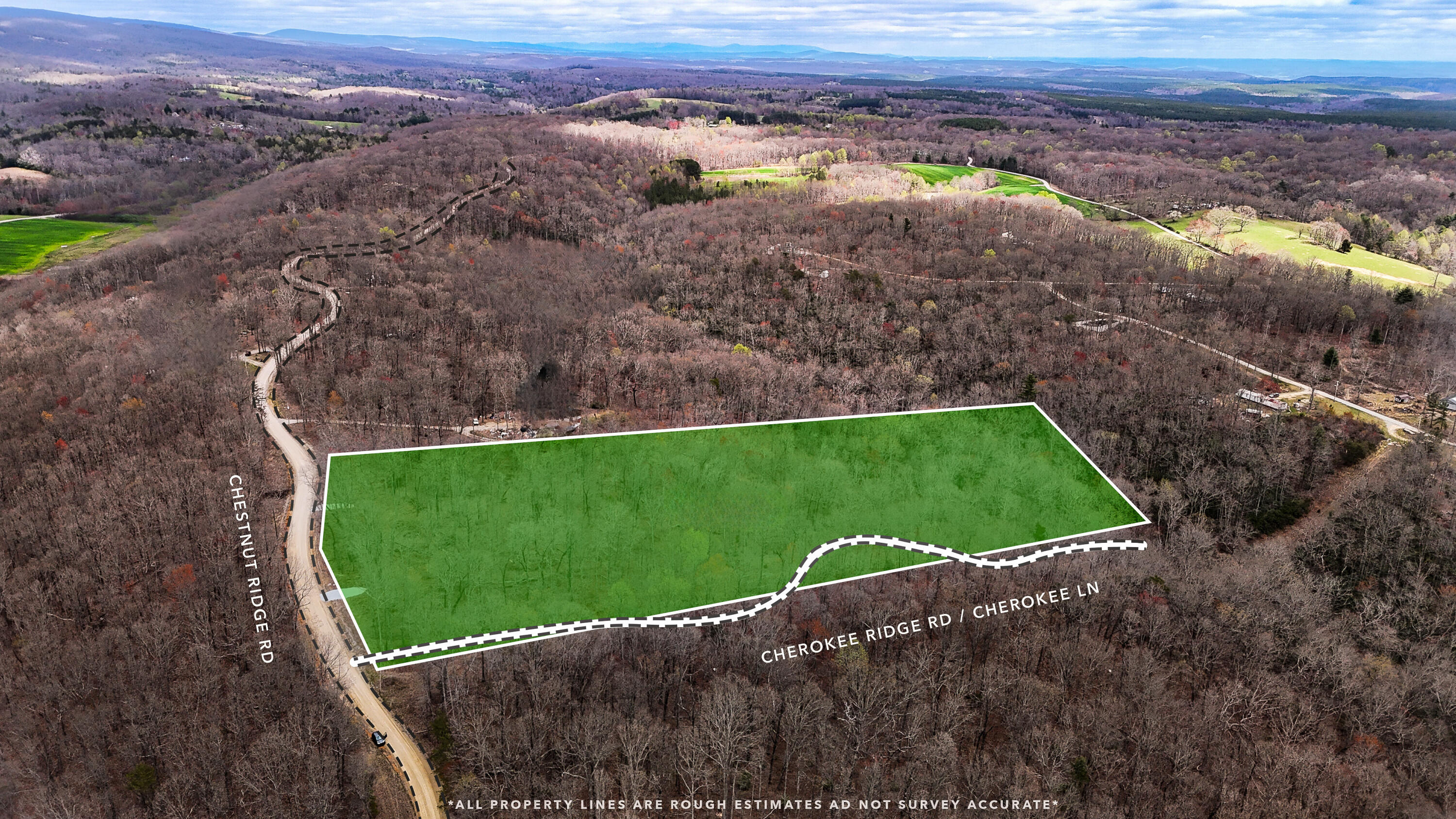 1139 Chestnut Ridge Road, Spring City, TN 37381 — photo 2