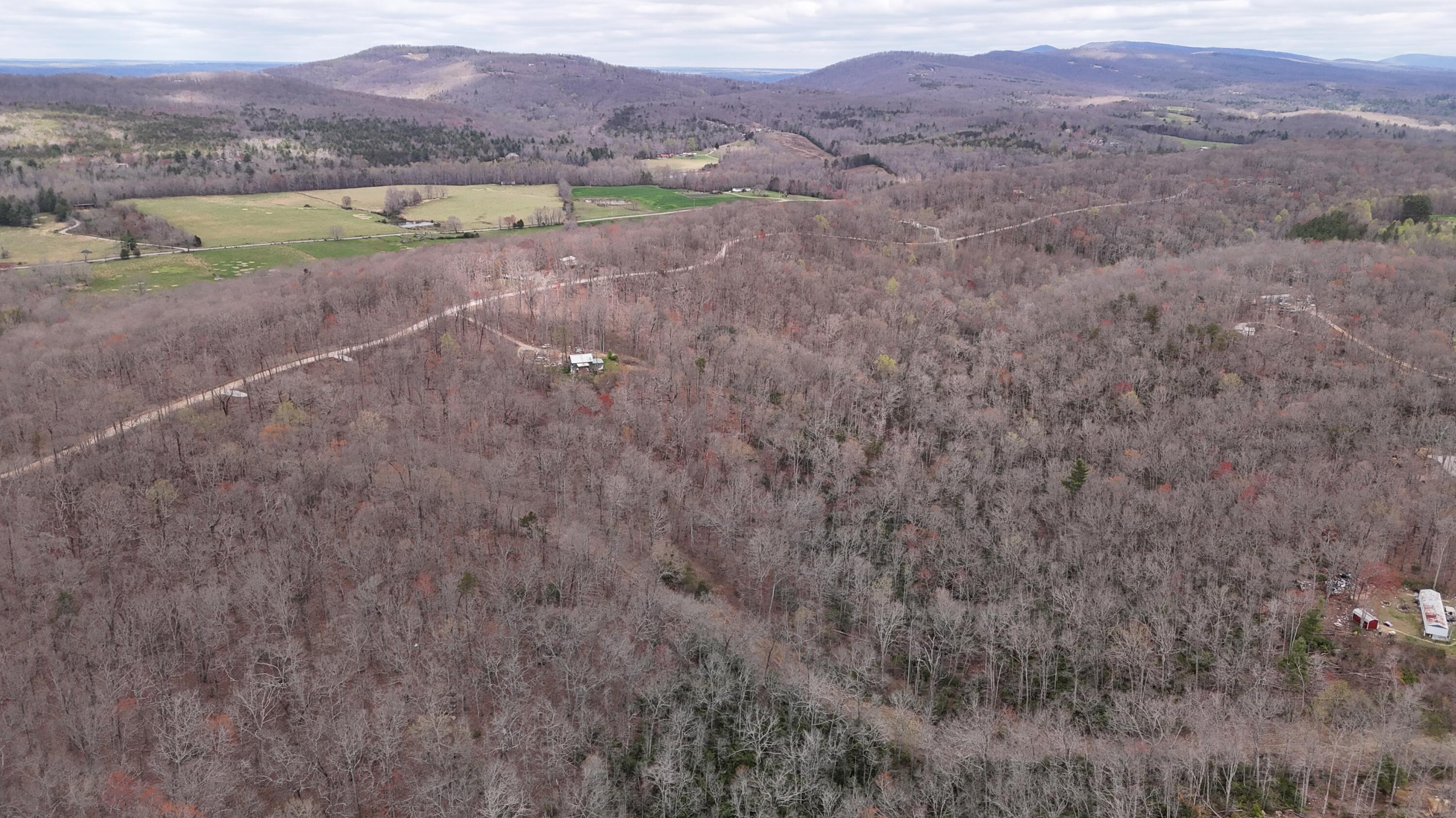 1139 Chestnut Ridge Road, Spring City, TN 37381 — photo 3