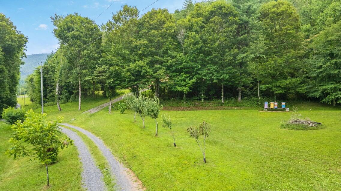118 Price Road, Reliance, TN 37369 — photo 3