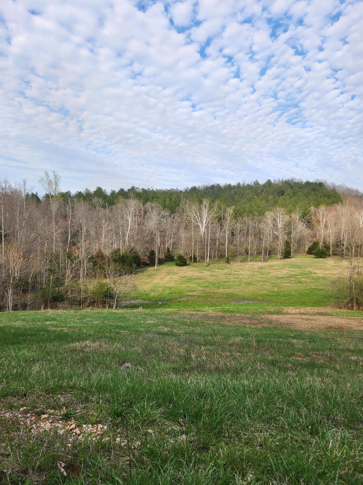 0 Mill Drive, 7, Decatur, TN 37322