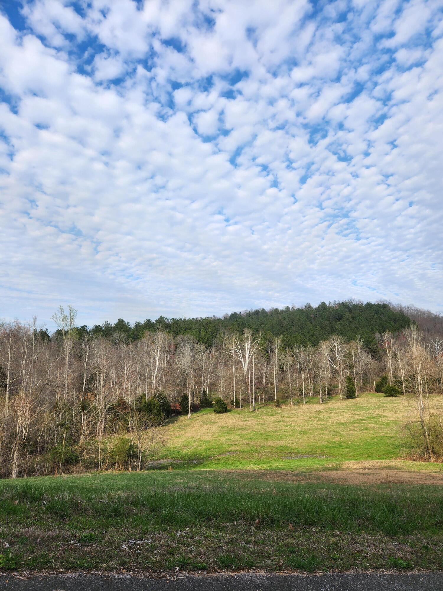 0 Mill Drive, 7, Decatur, TN 37322 — photo 2