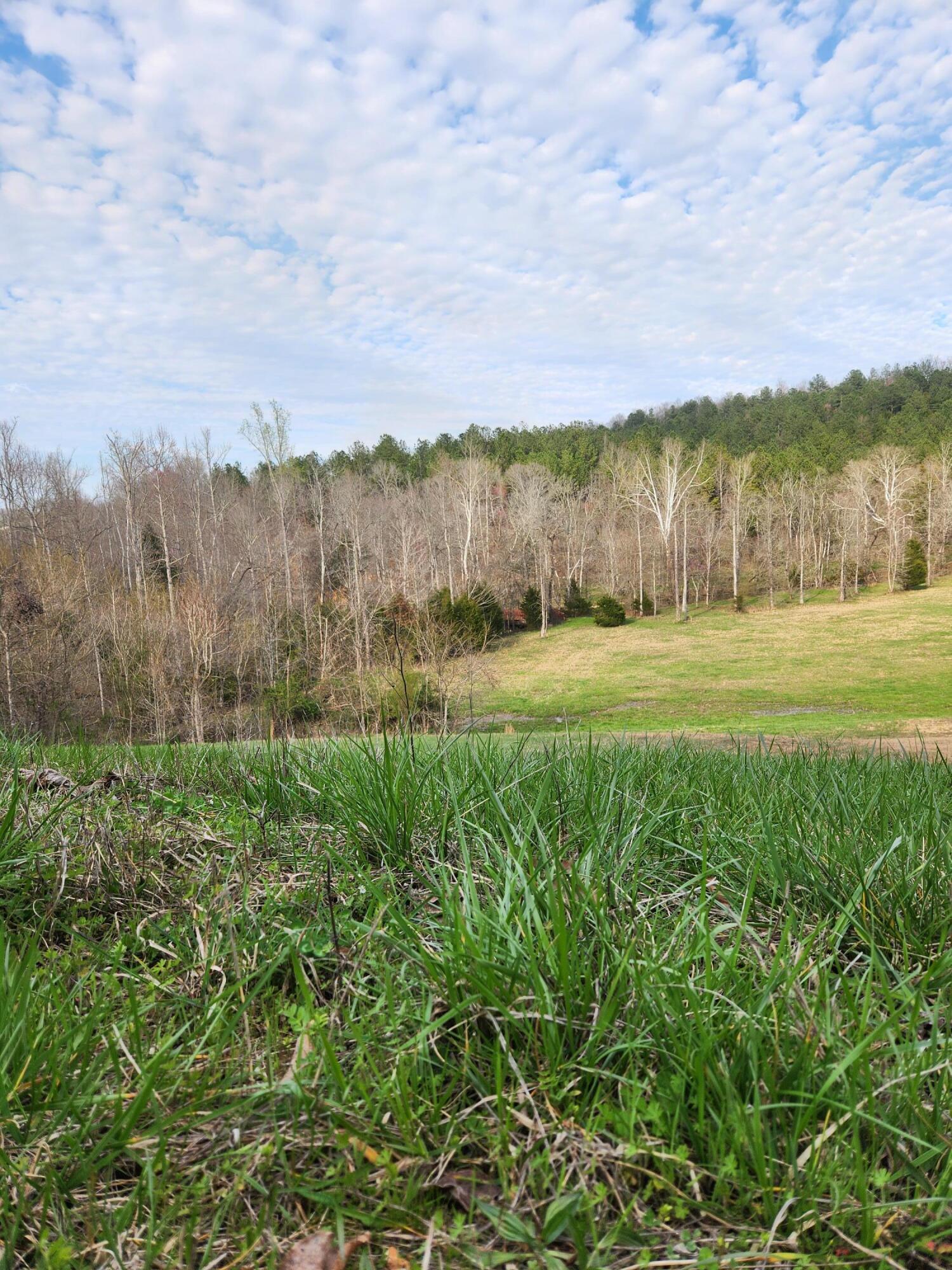 0 Mill Drive, 7, Decatur, TN 37322 — photo 3
