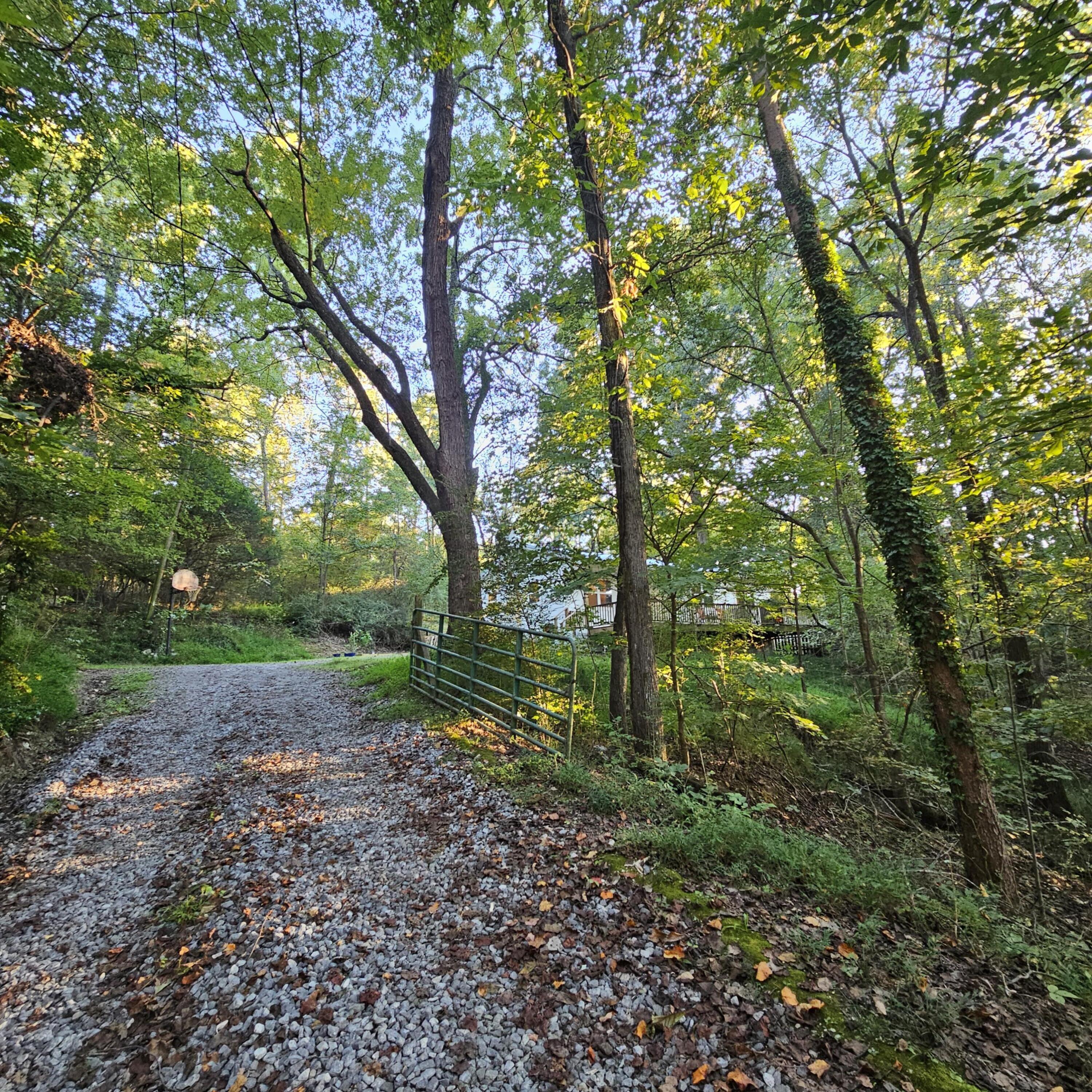 162 Phillips Hollow Road — photo
