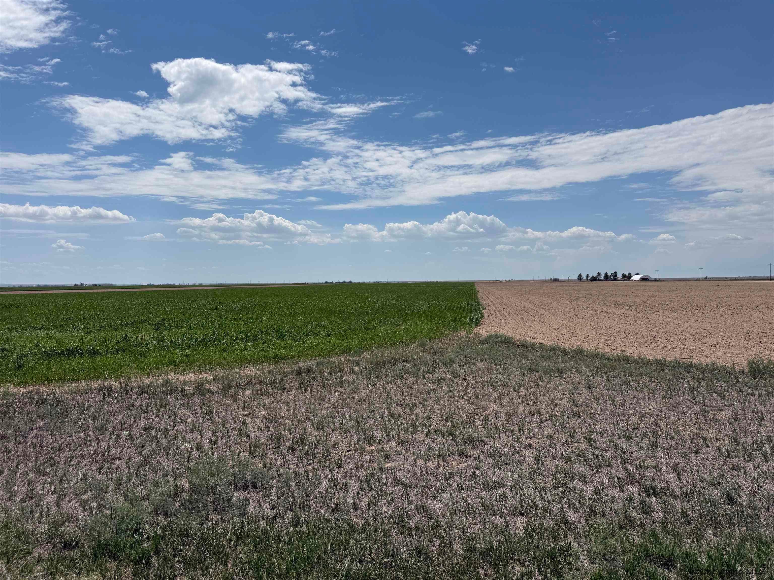 Tbd Road 203 — photo