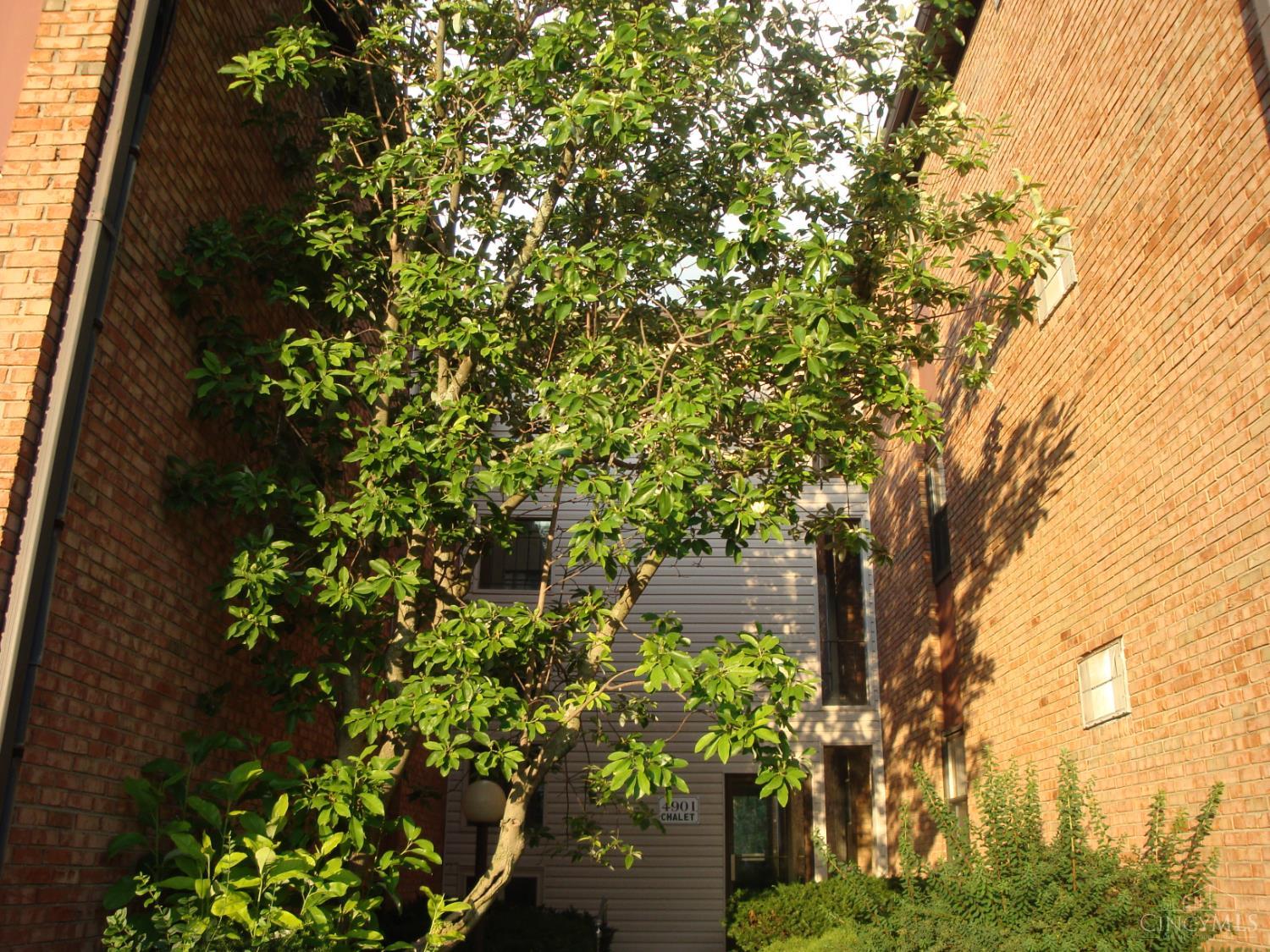 4901 Chalet Drive — photo