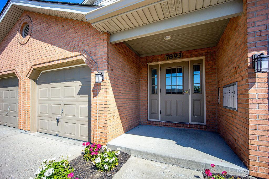 7893 Jessies — photo
