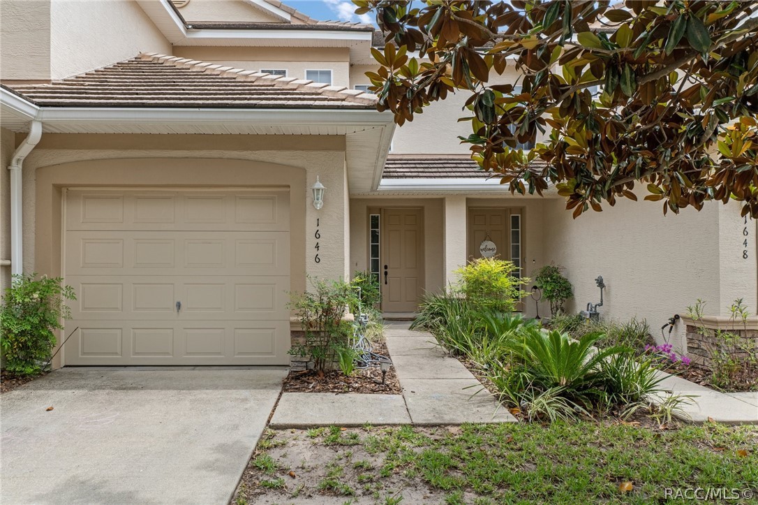 1646 W Spring Meadow Loop — photo