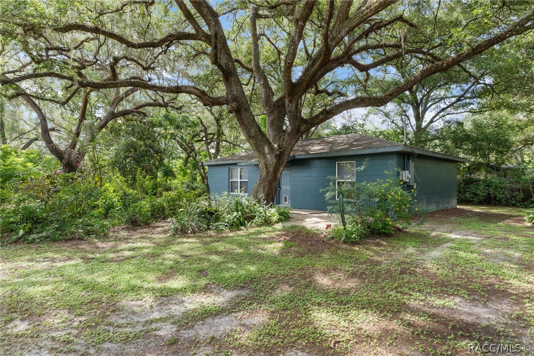 1317 Carl Street — photo