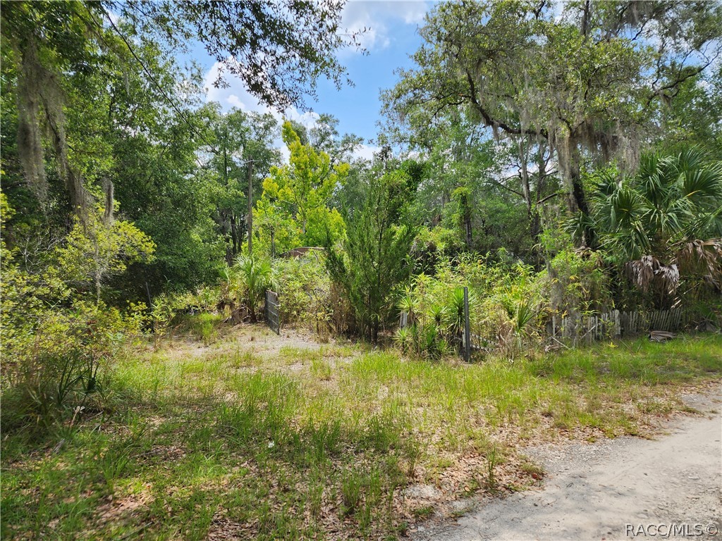 11335 N Ginny Lane Point — photo