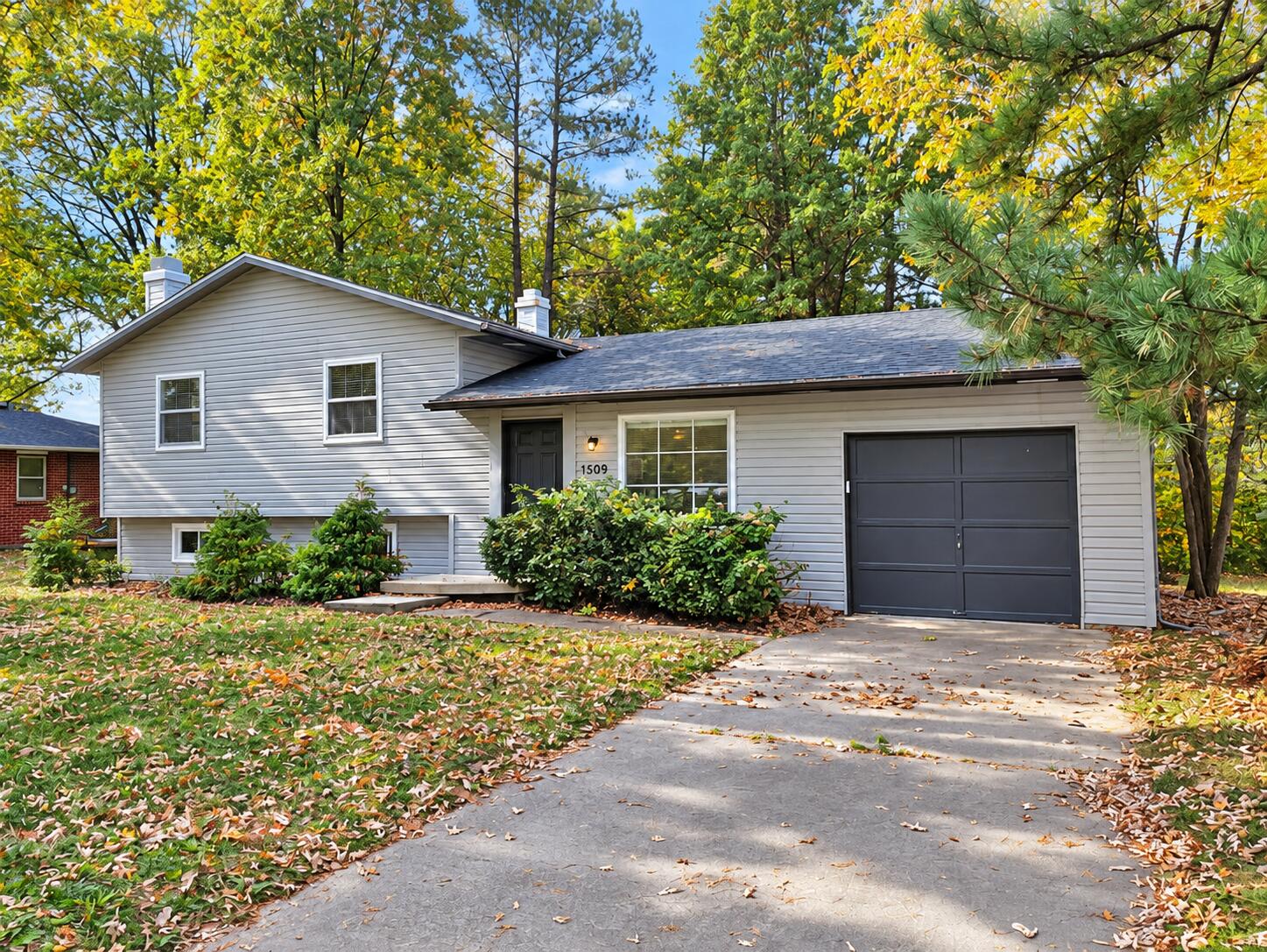 3509 Woodland Dr — photo