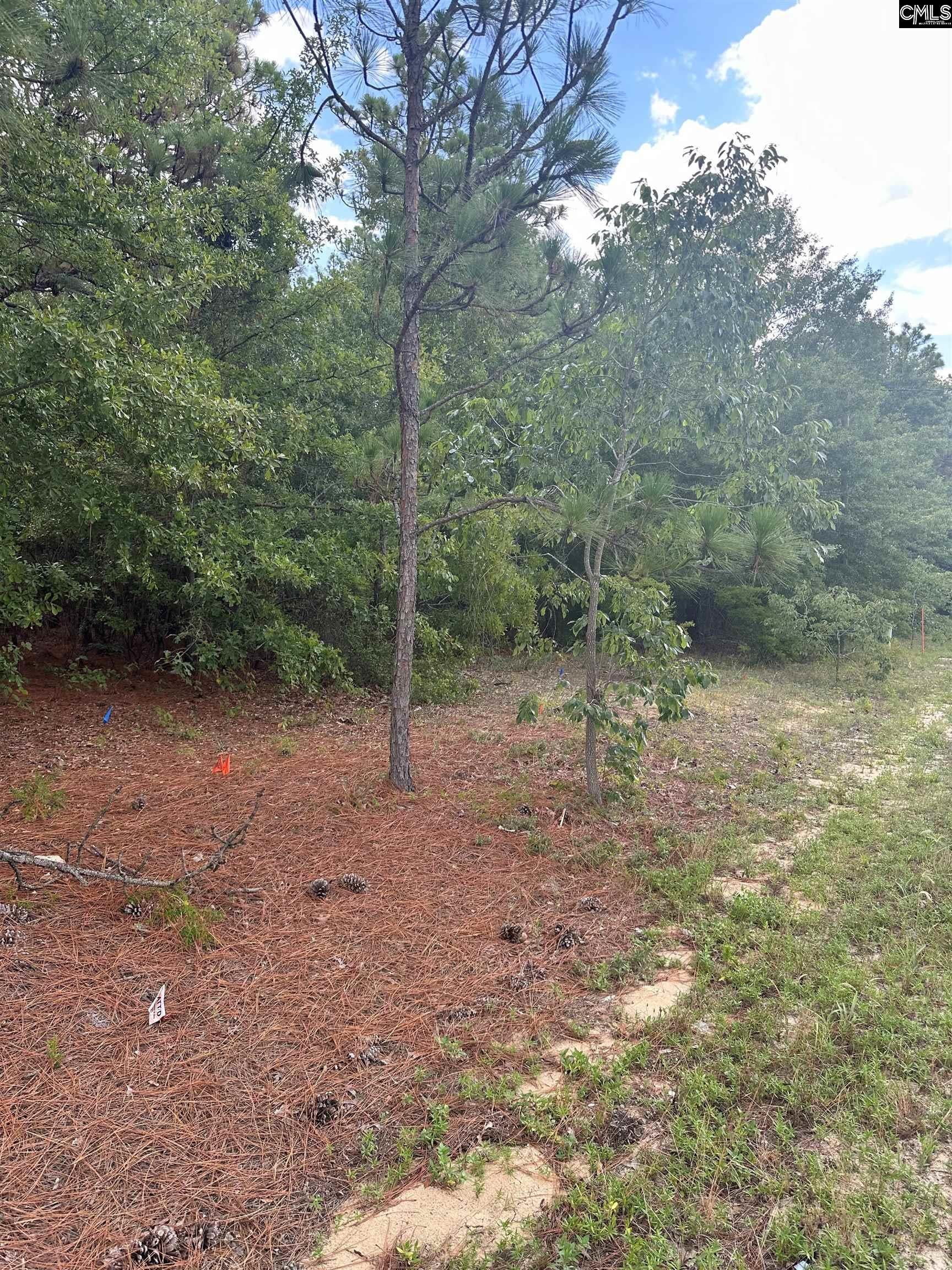 1148 Hwy1 South — photo