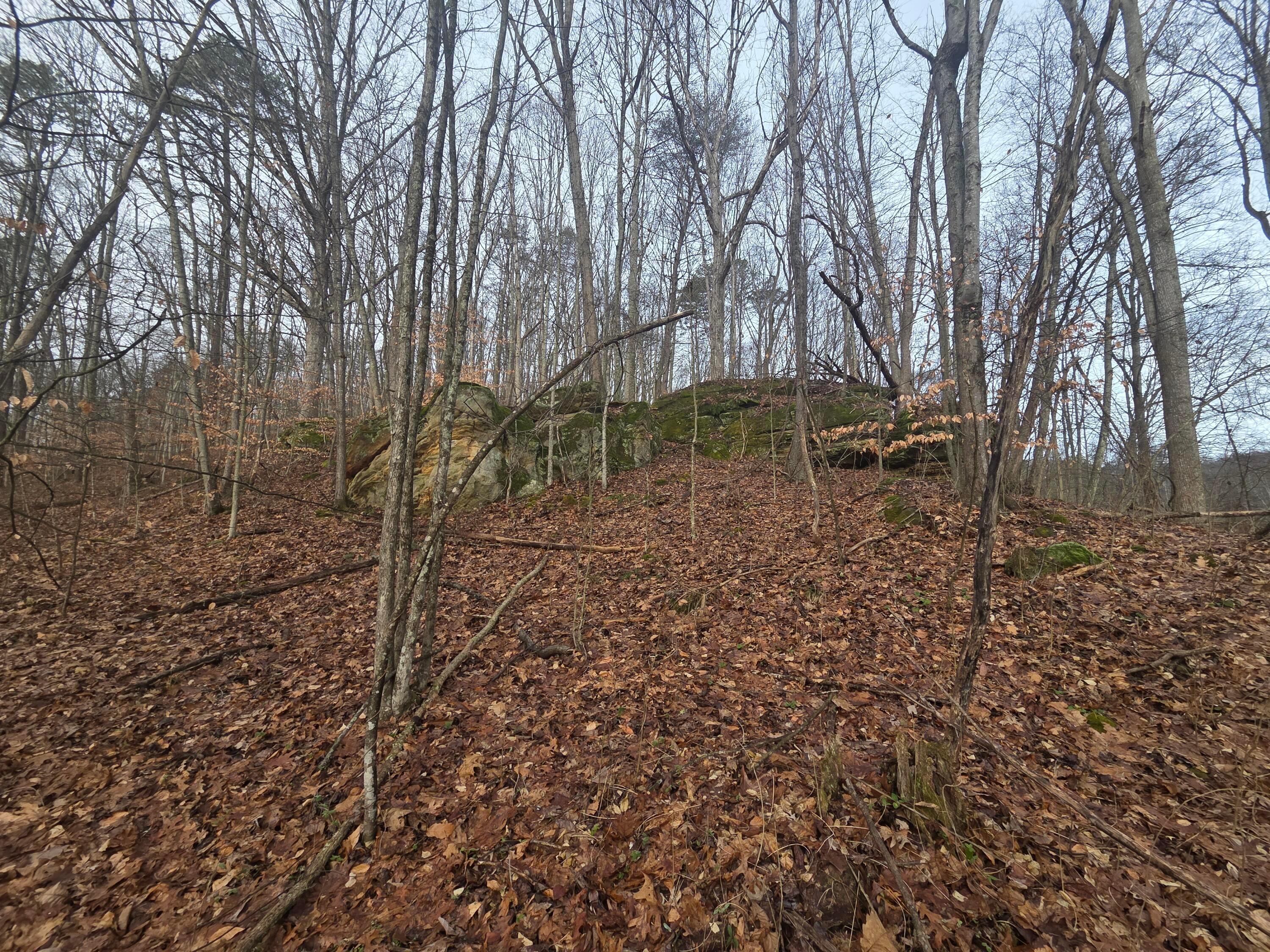 12001 W Buck Run — photo