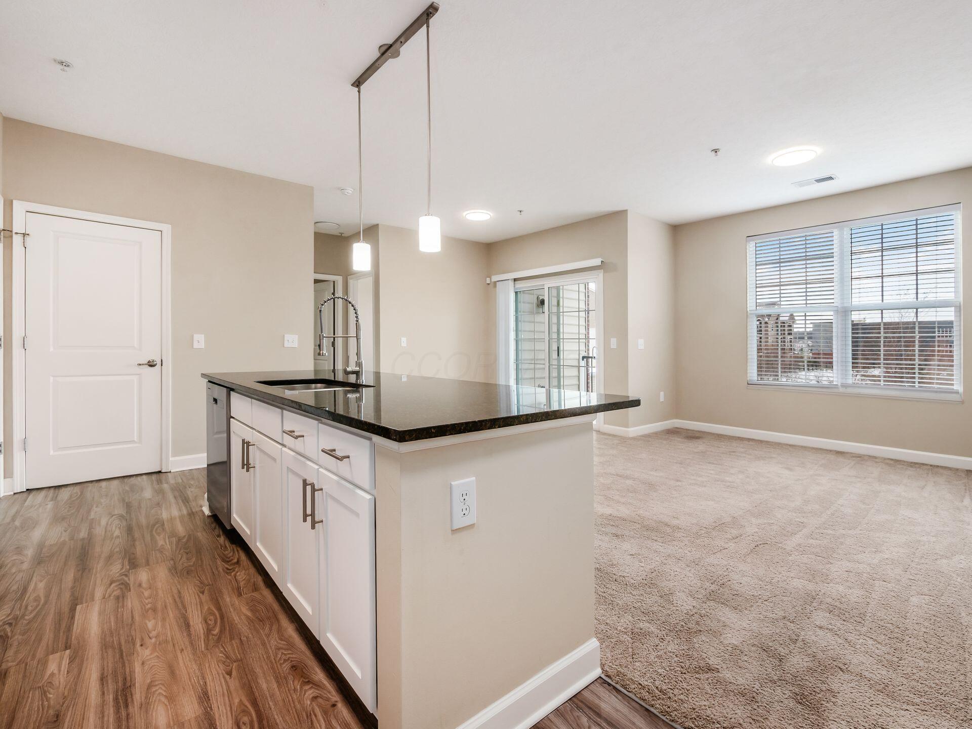 5864 Whitebark Pine Trail — photo