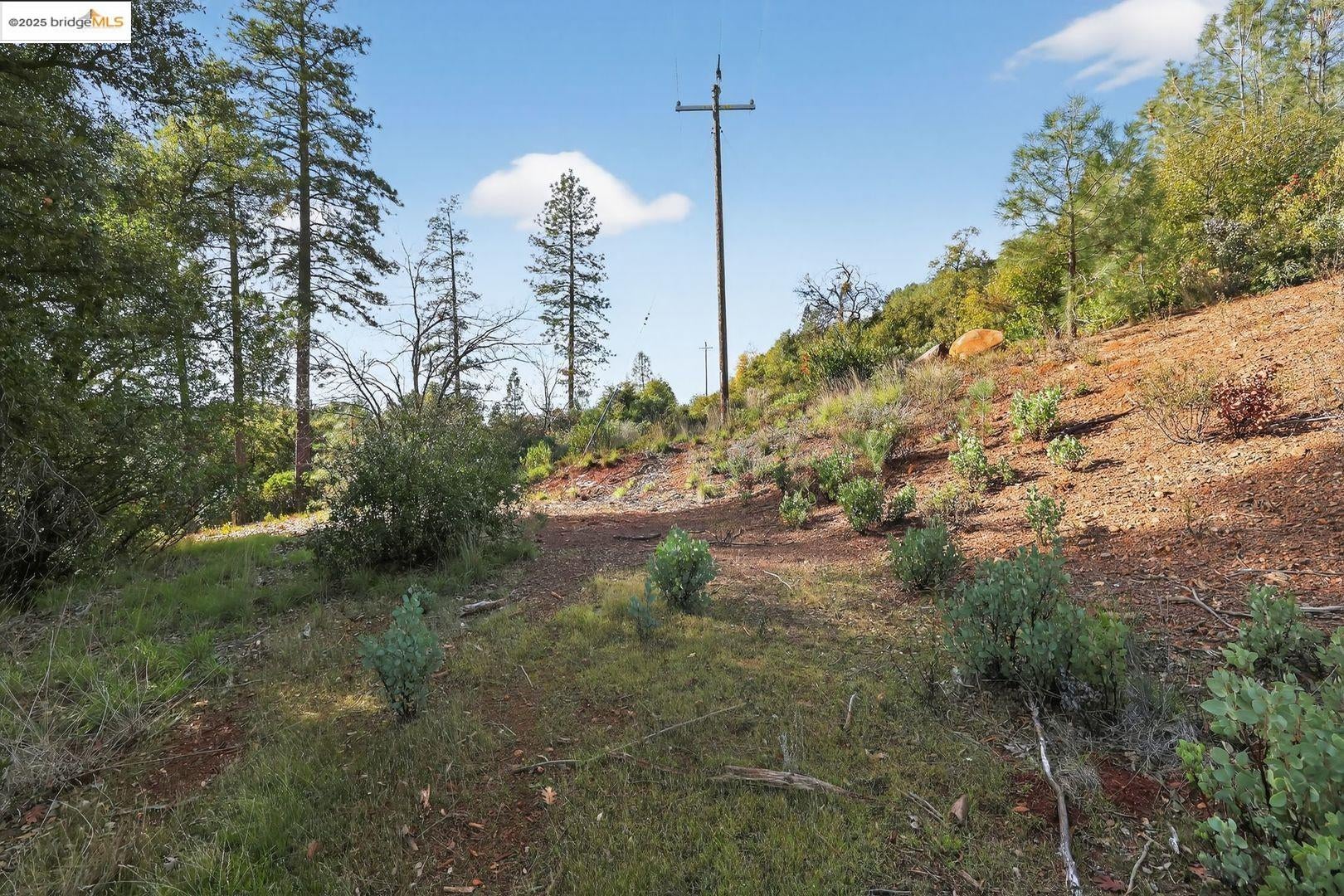 4544 Sheep Ranch Rd, Murphys, CA 95247 — photo 2