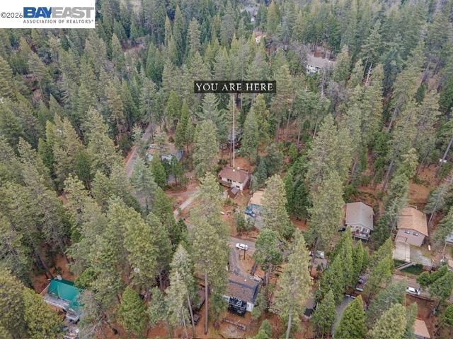 Home in Twain Harte, CA 95383 — photo 2