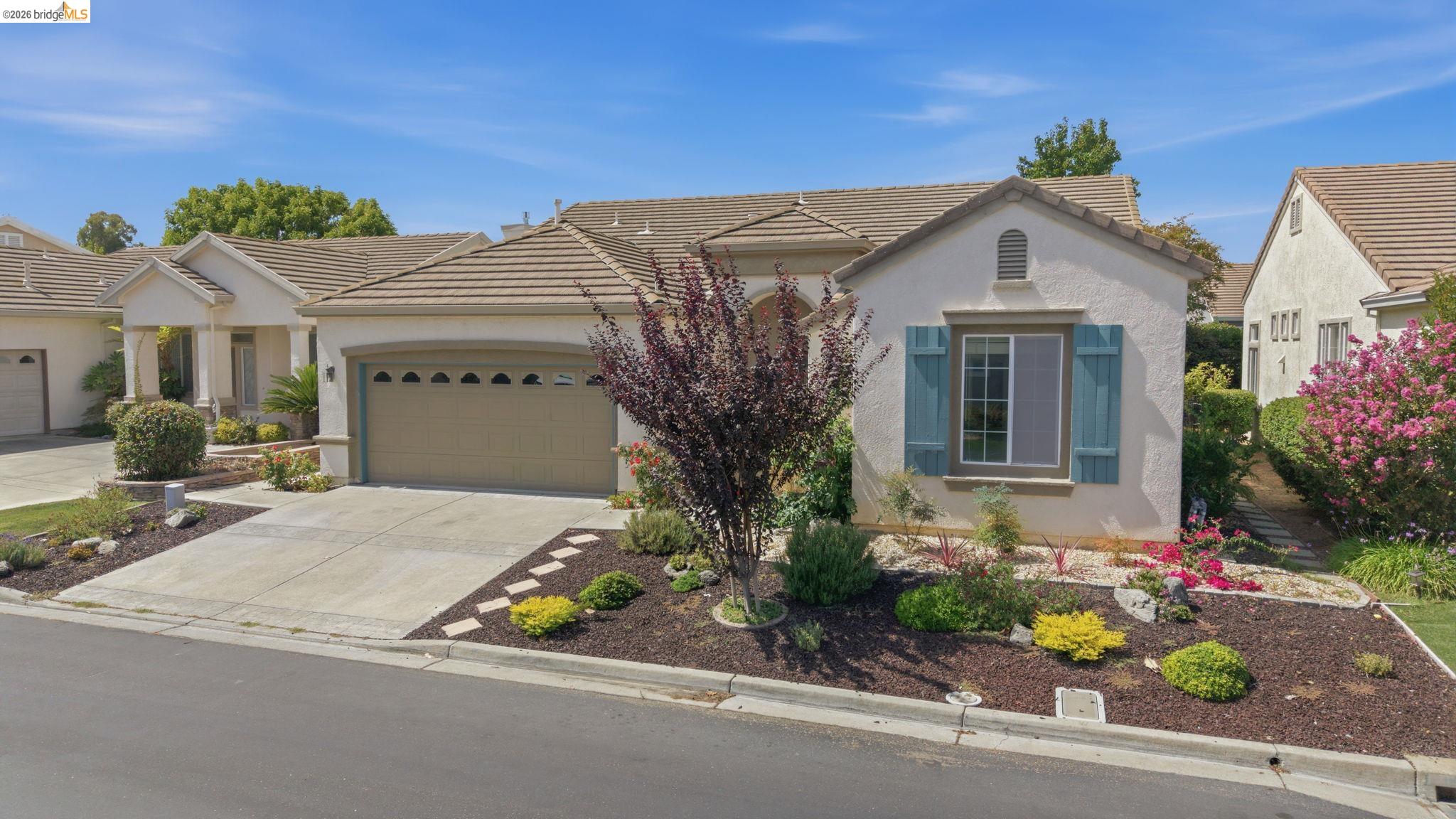 453 Tayberry — photo