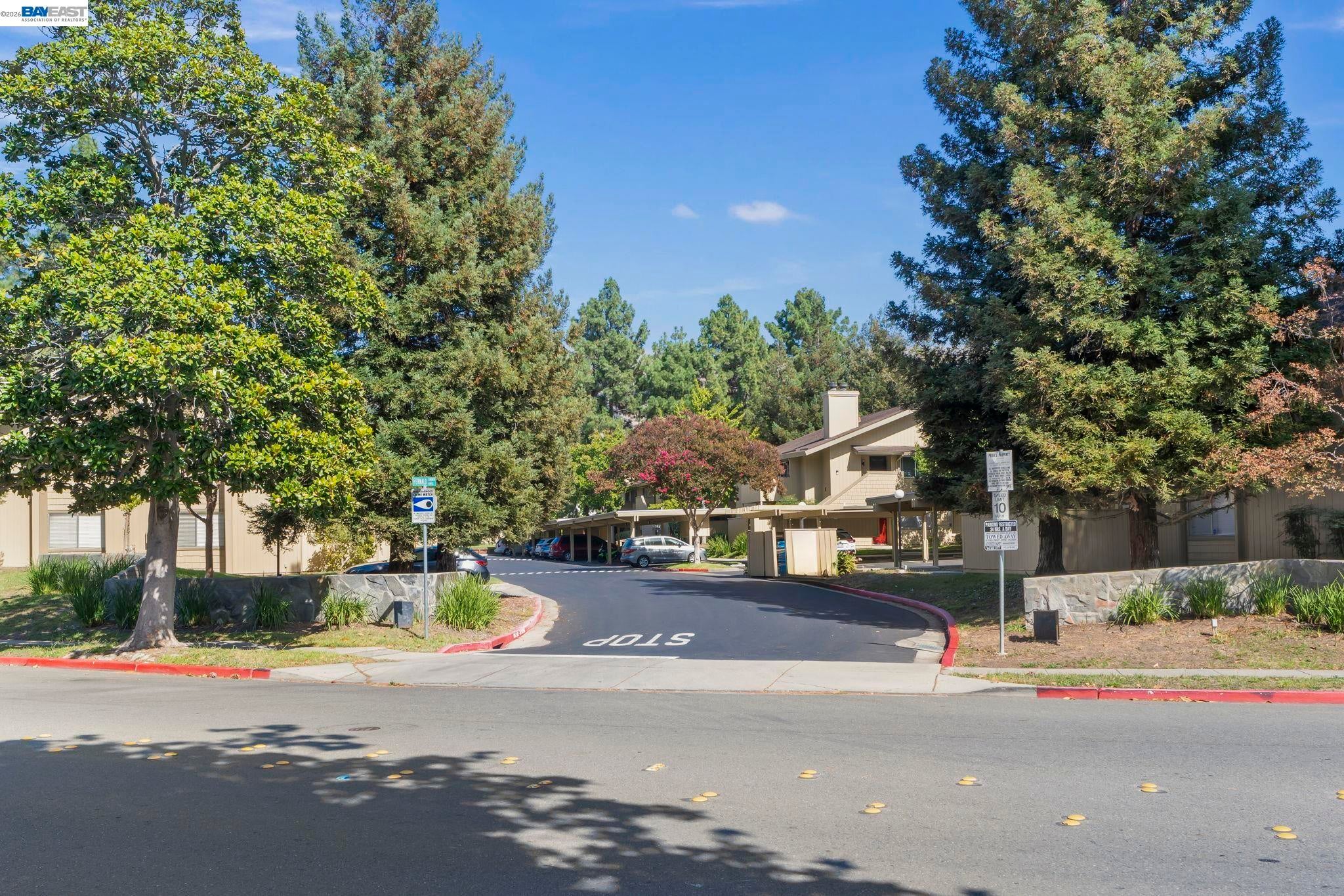 46908 Fernald Cmn — photo