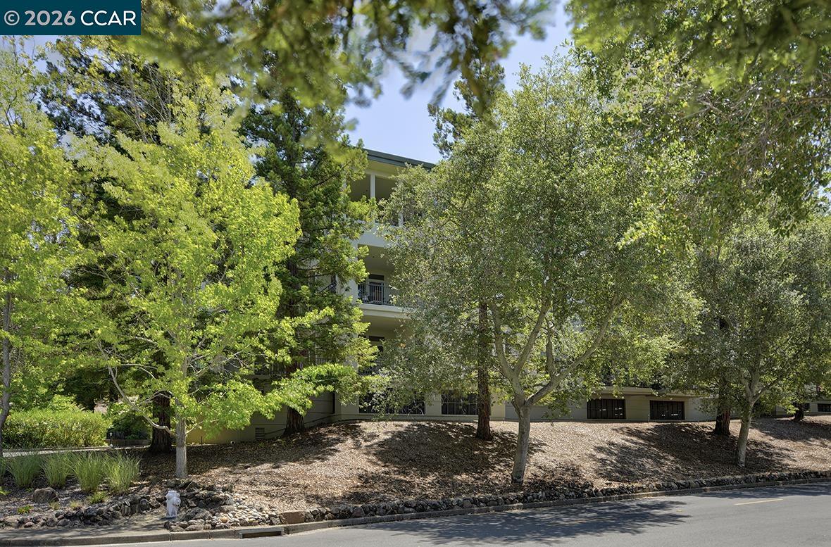 5910 Horsemans Canyon Dr 5C — photo