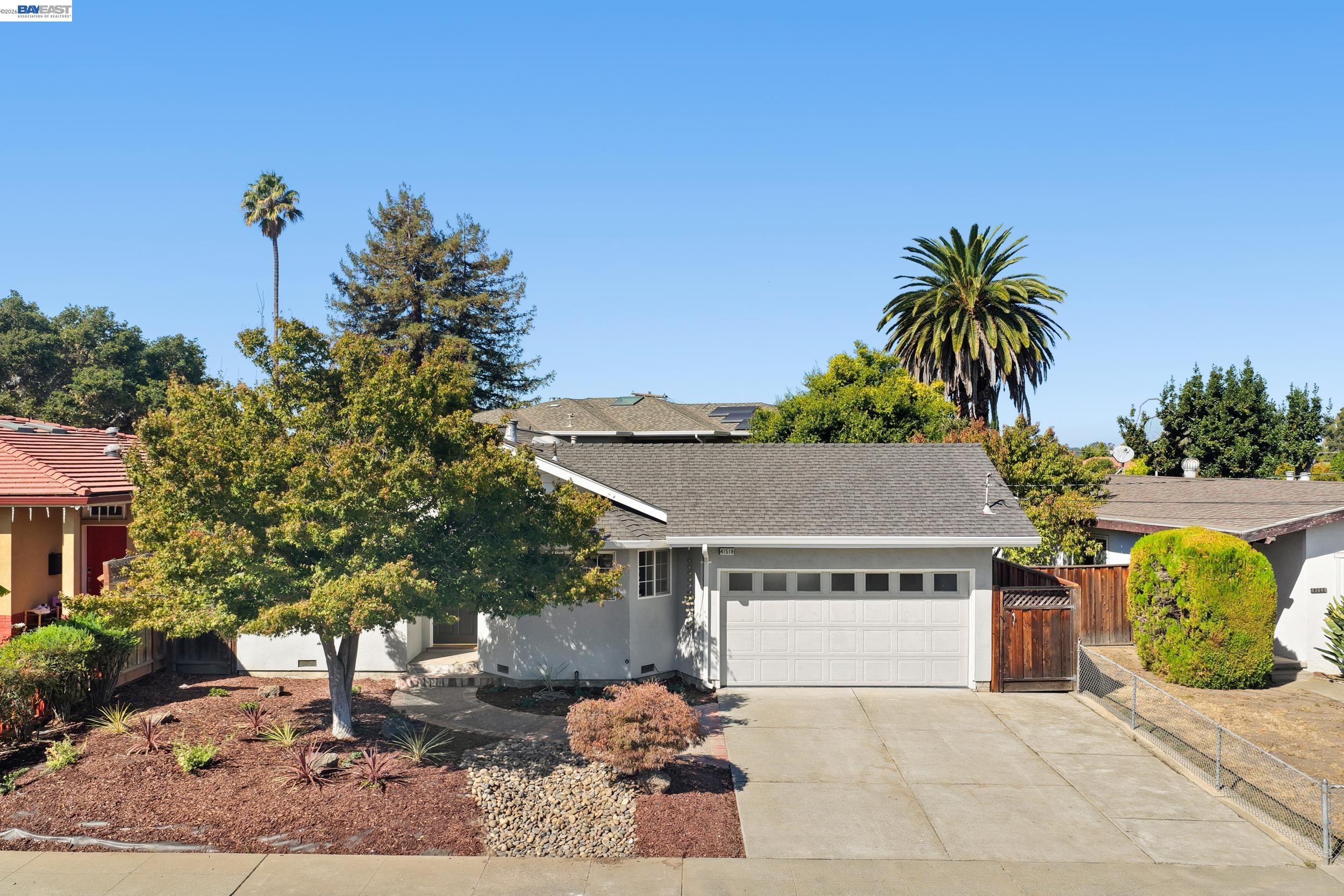 41519 Erma — photo