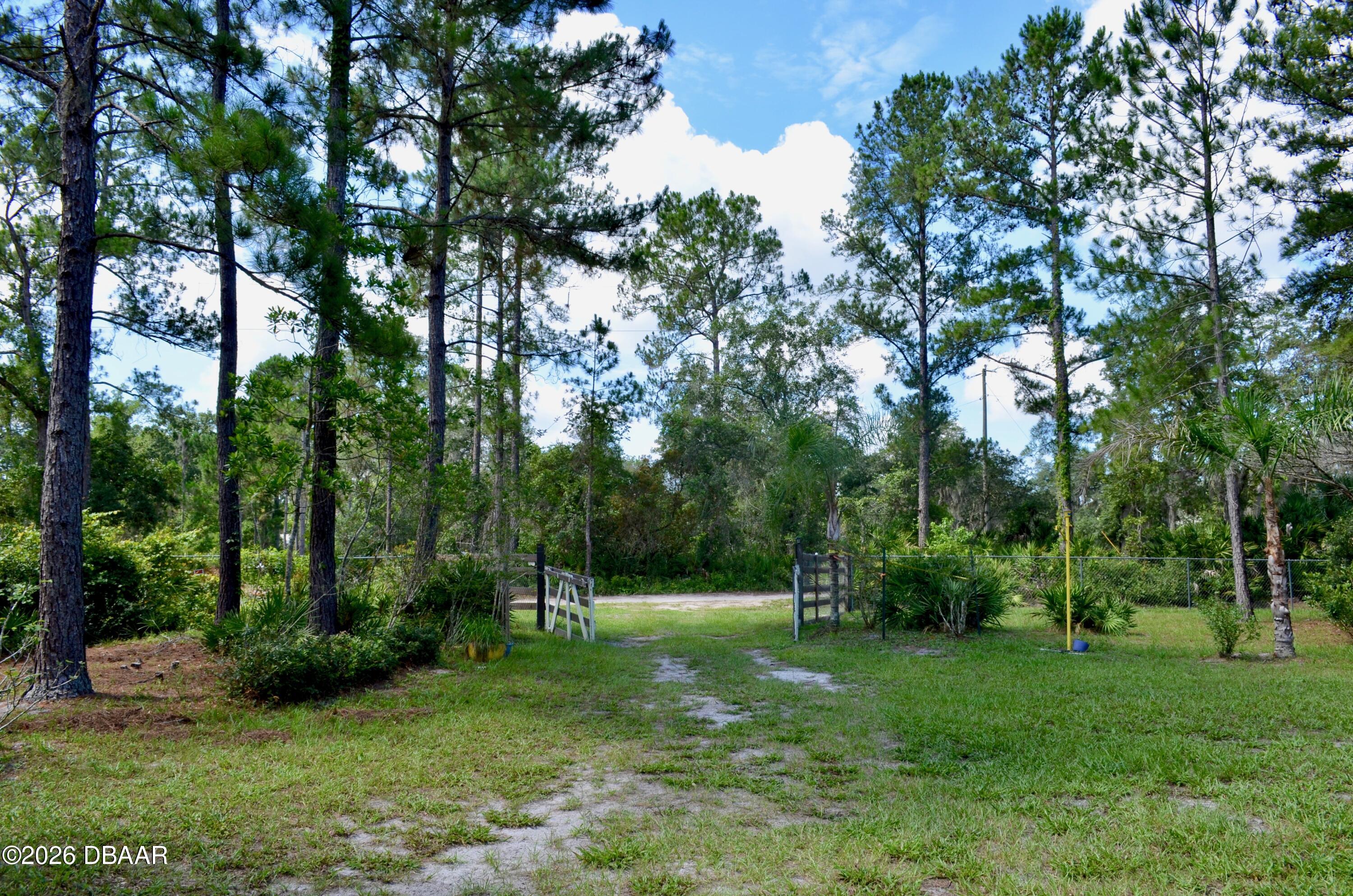 33135 Forest Ridge Road, DeLand, FL 32720 — photo 2