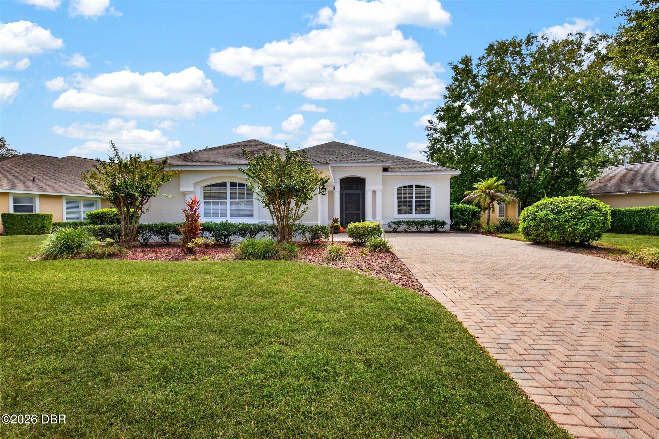 6 Acclaim At Lionspaw — photo