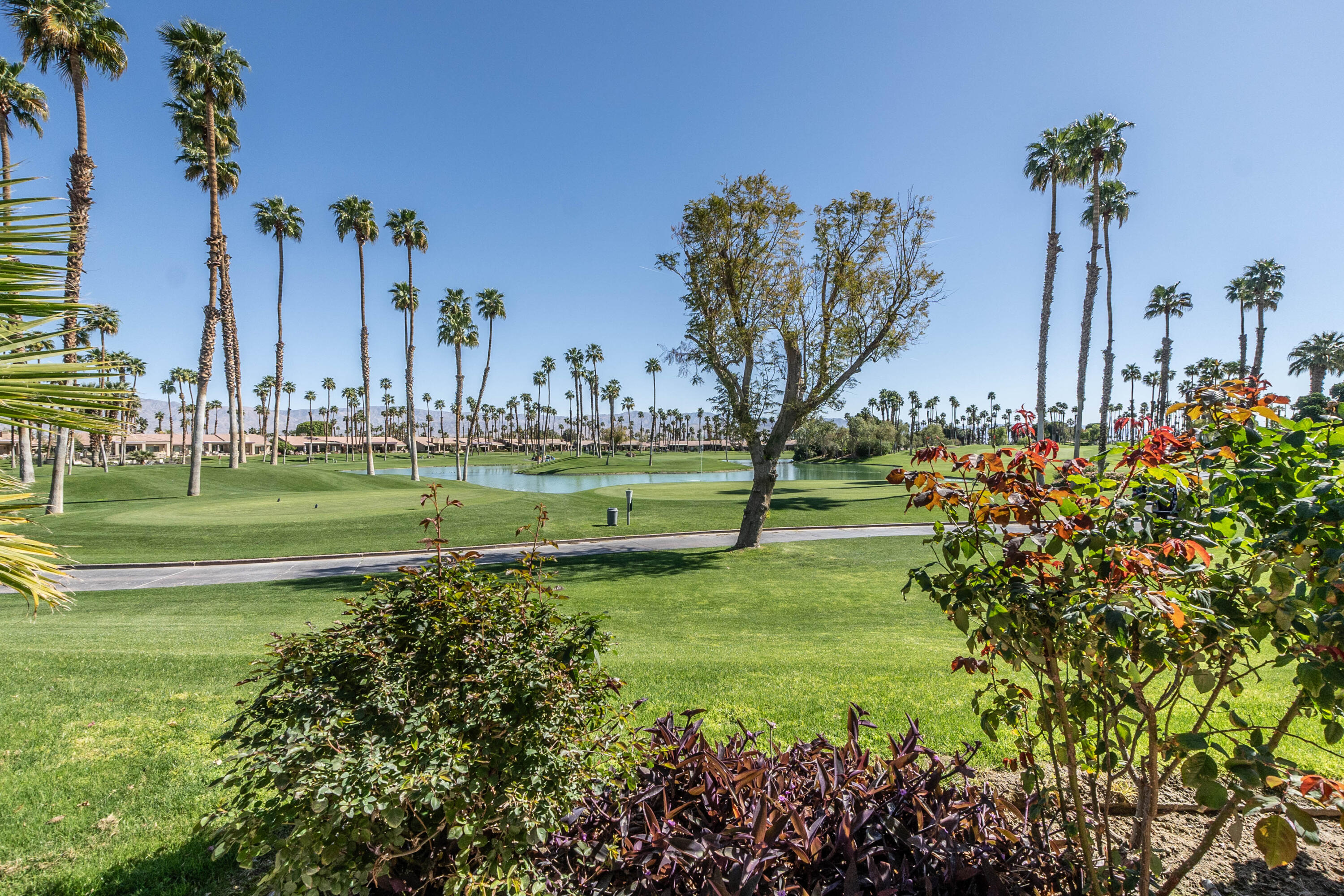 76185 Sweet Pea Way — photo