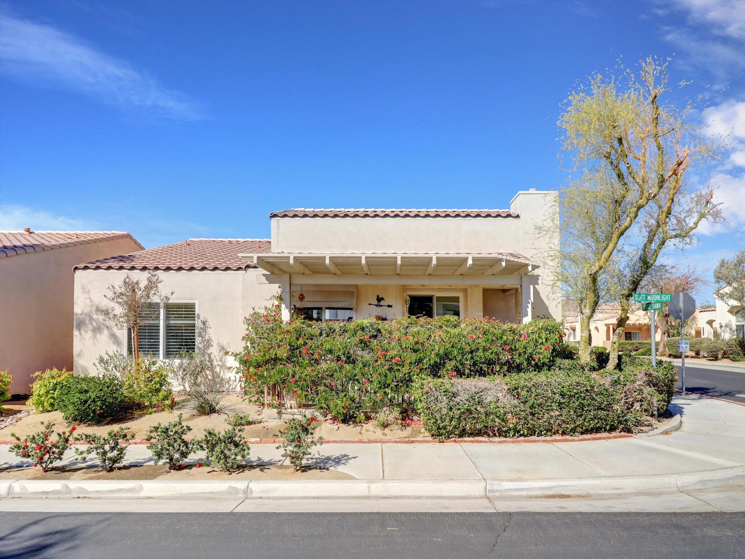 79355 Rose Dawn — photo