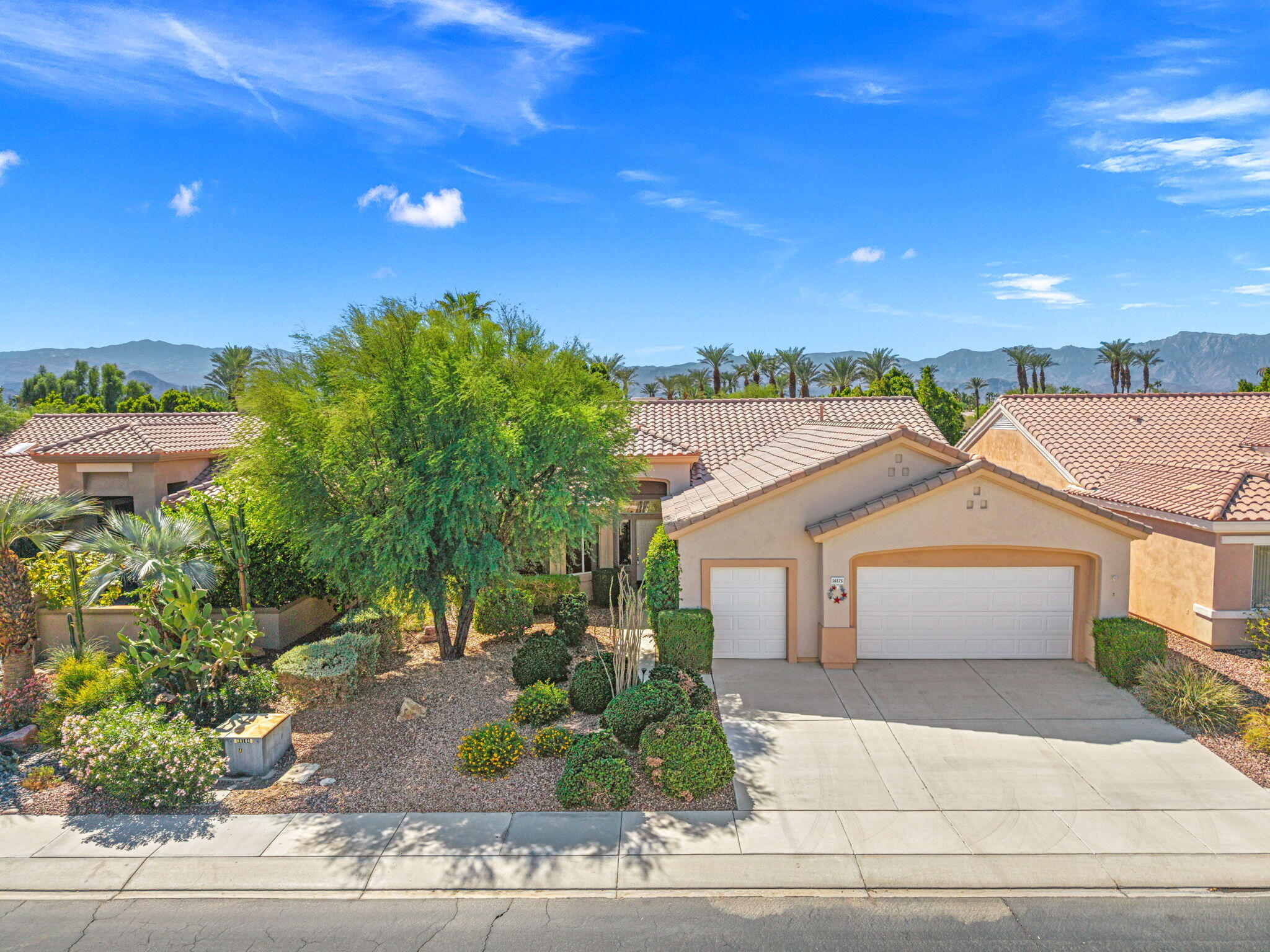 36575 Blue Palm Drive — photo