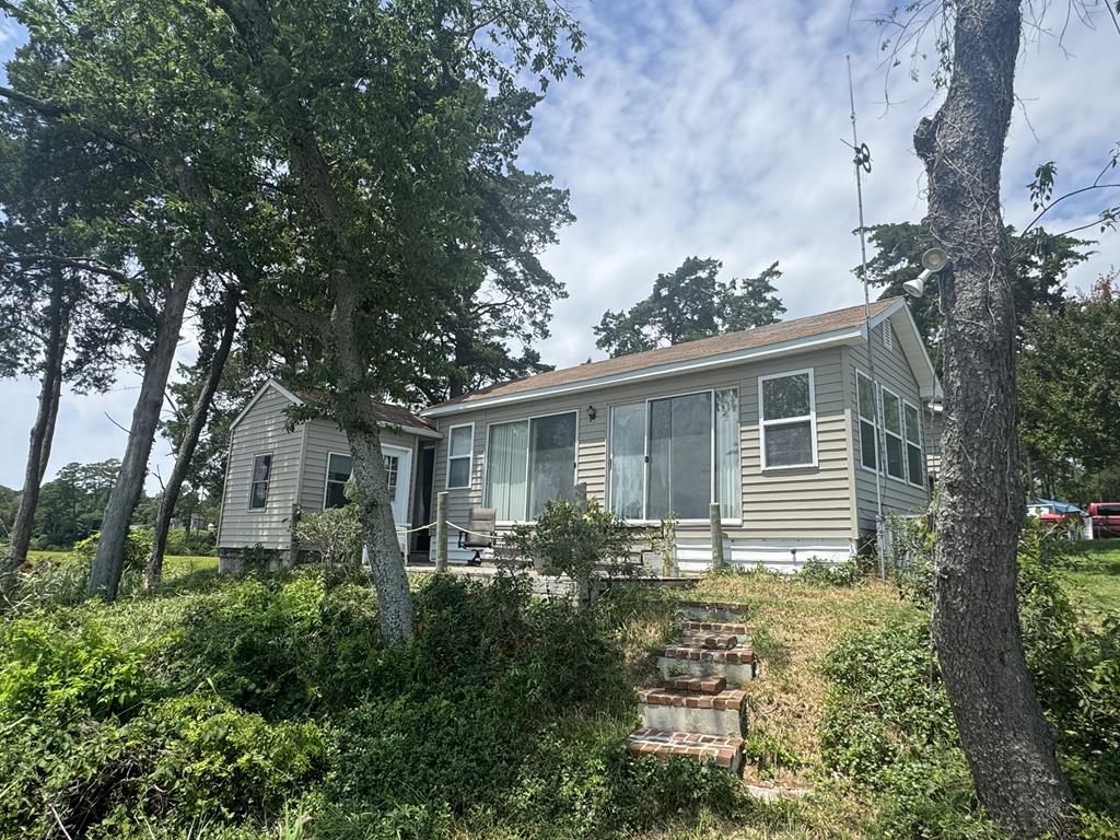 6012* Pin Oak — photo