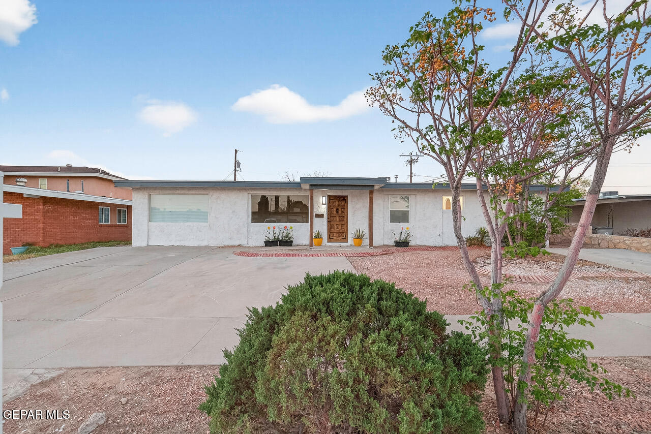 10105 Saigon Drive — photo