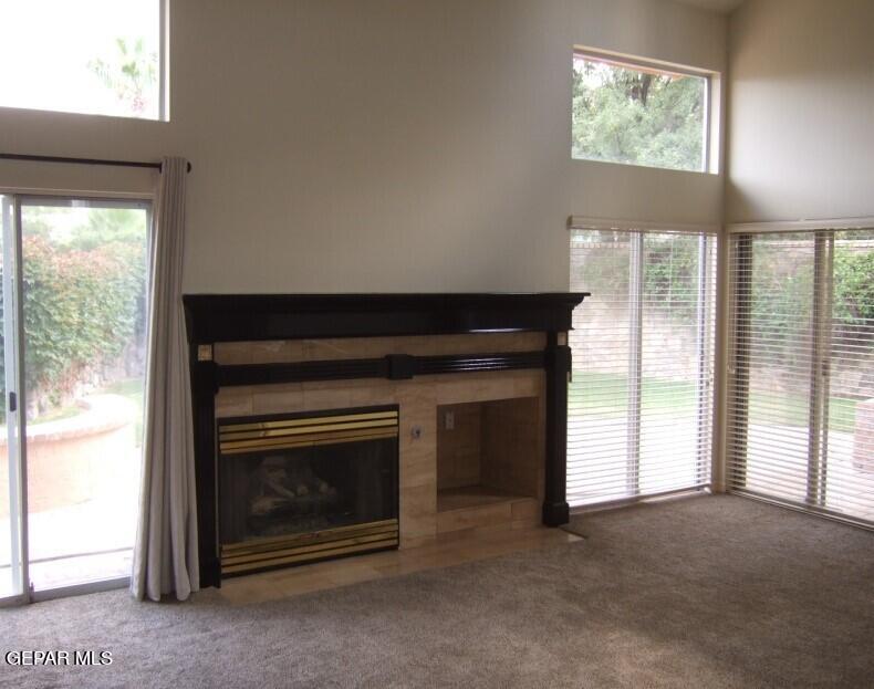 4579 Weeping Willow Drive — photo