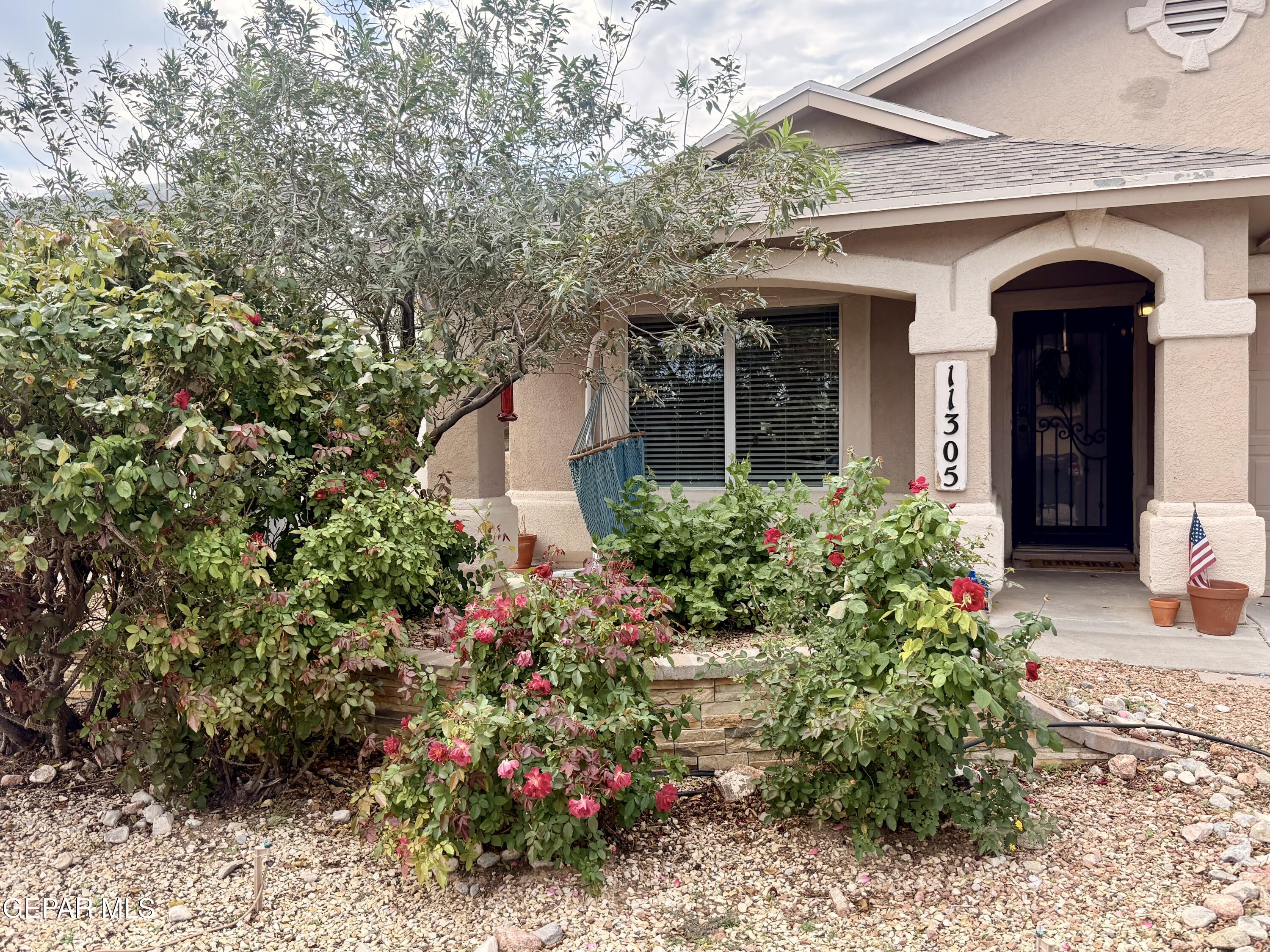 11305 Cattle Ranch Street — photo