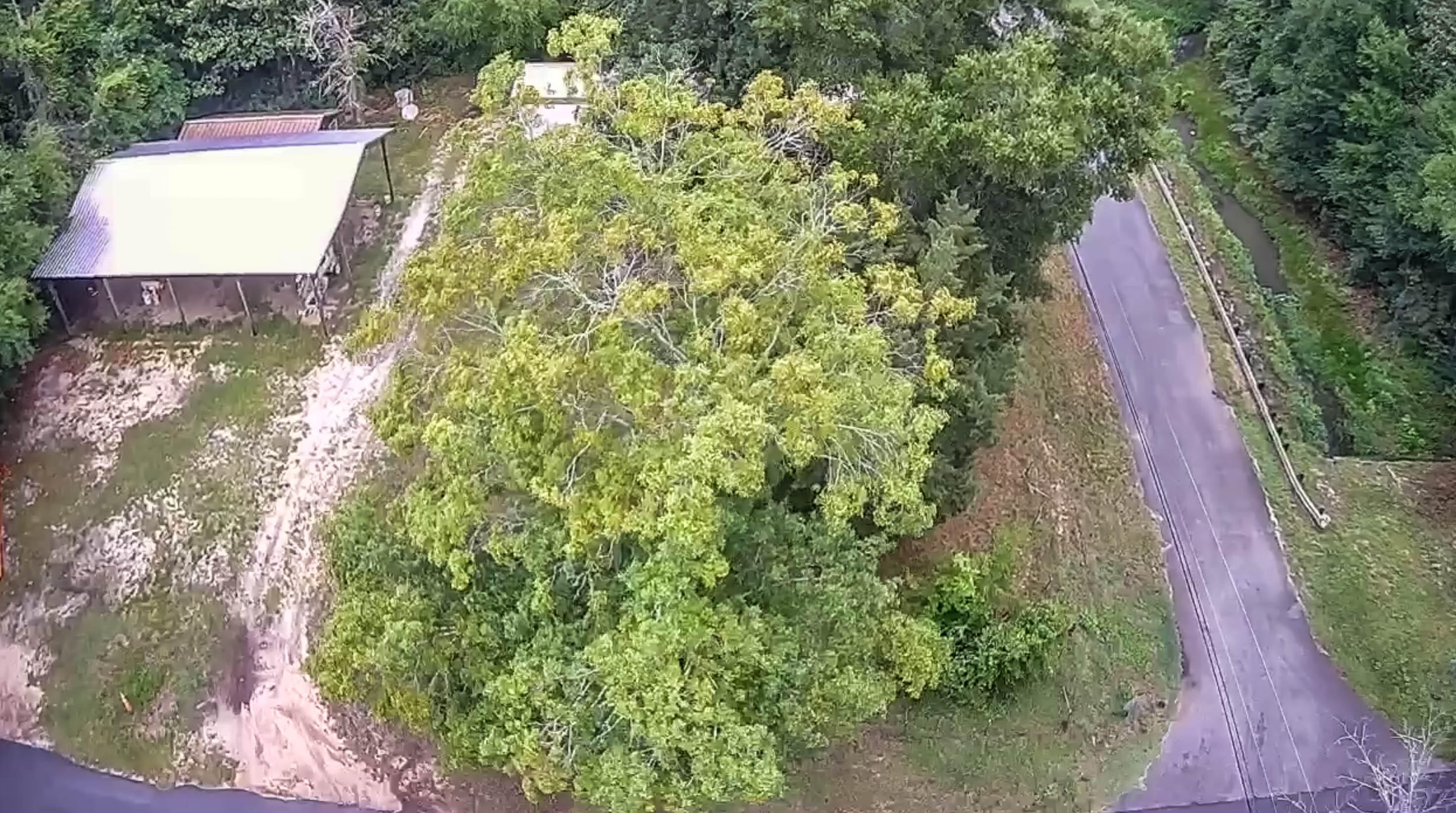 4253 Third Avenue, Pace, FL 32571 — photo 3